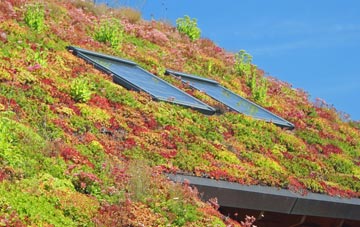 Challacombe living roof systems